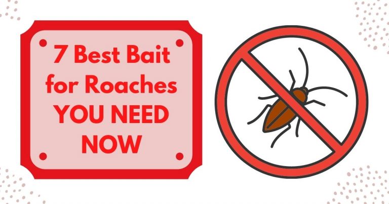 best bait for roaches