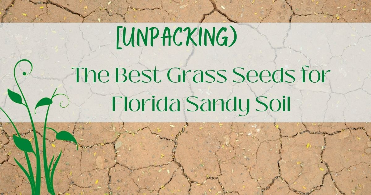 Best Grass Seeds for Florida Sandy Soil