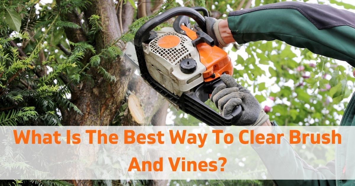 best way to clear brush and vines