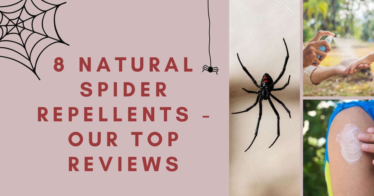 Natural Spider Repellents