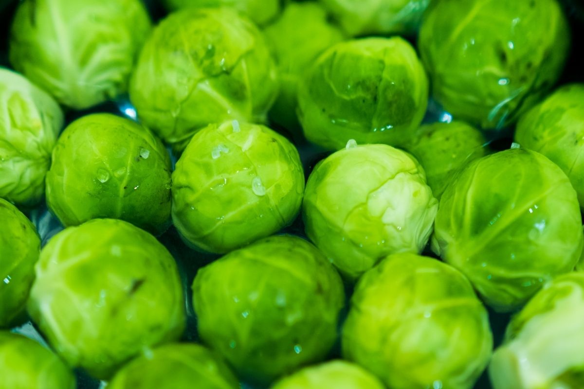 Close up of Brussels Sprouts
