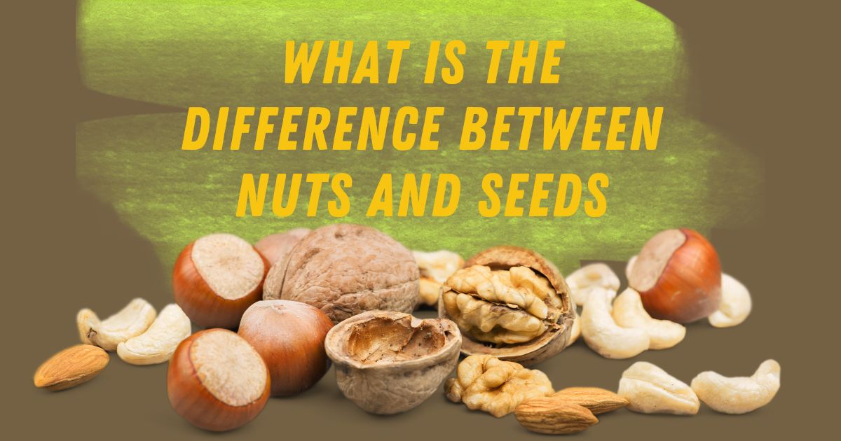 Difference Between Nuts and Seeds