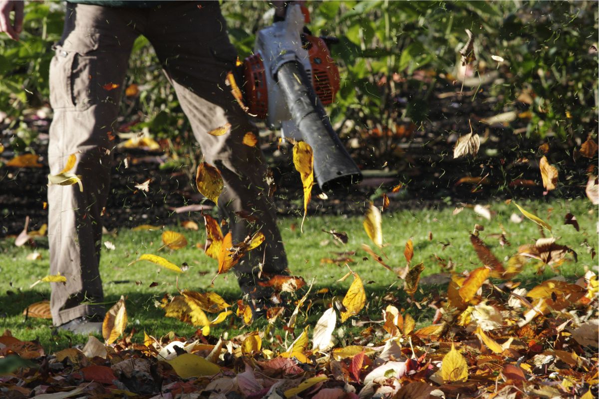 Leaf blower blows autumn leaves