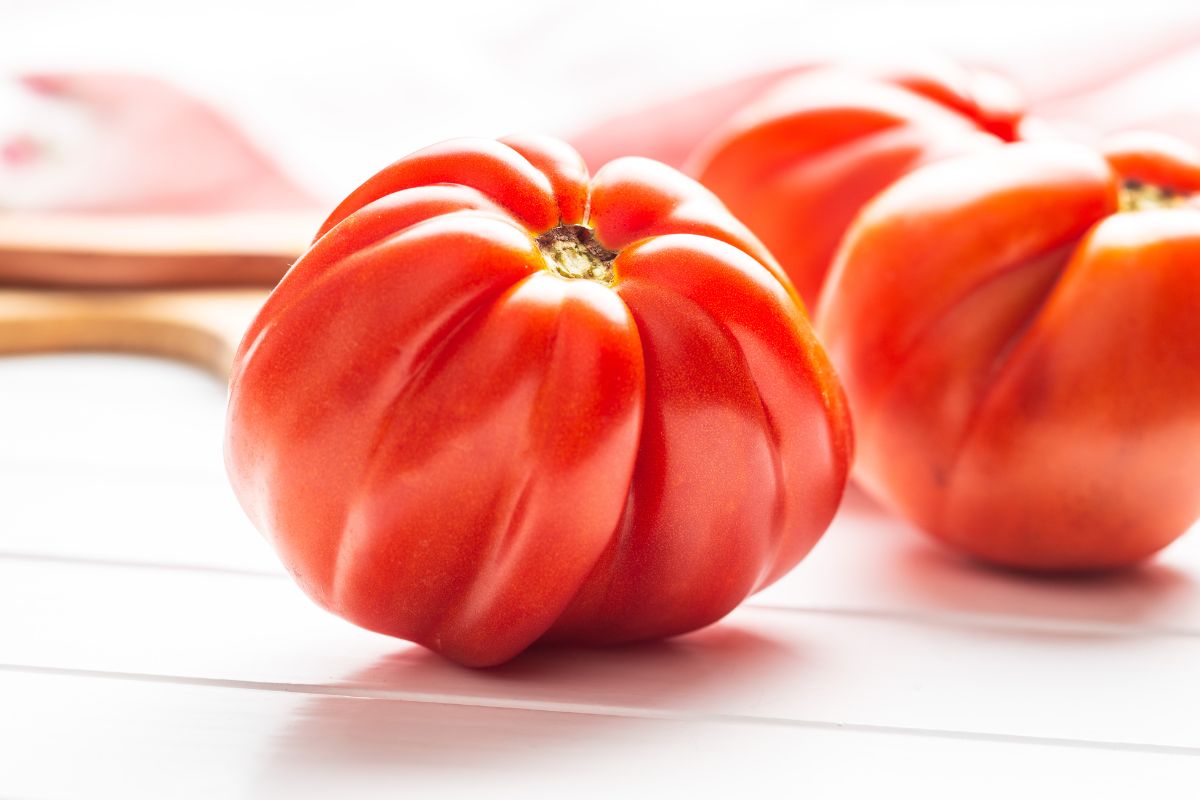 Red beefsteak tomatoes