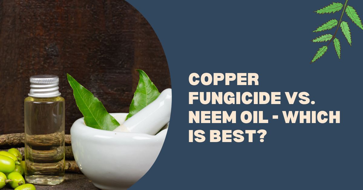 Copper Fungicide vs. Neem Oil
