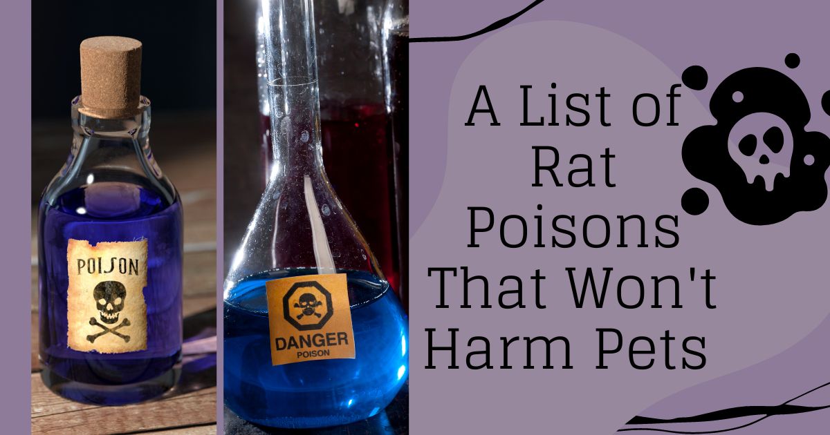 Rat Poisons That Won't Harm Pets 