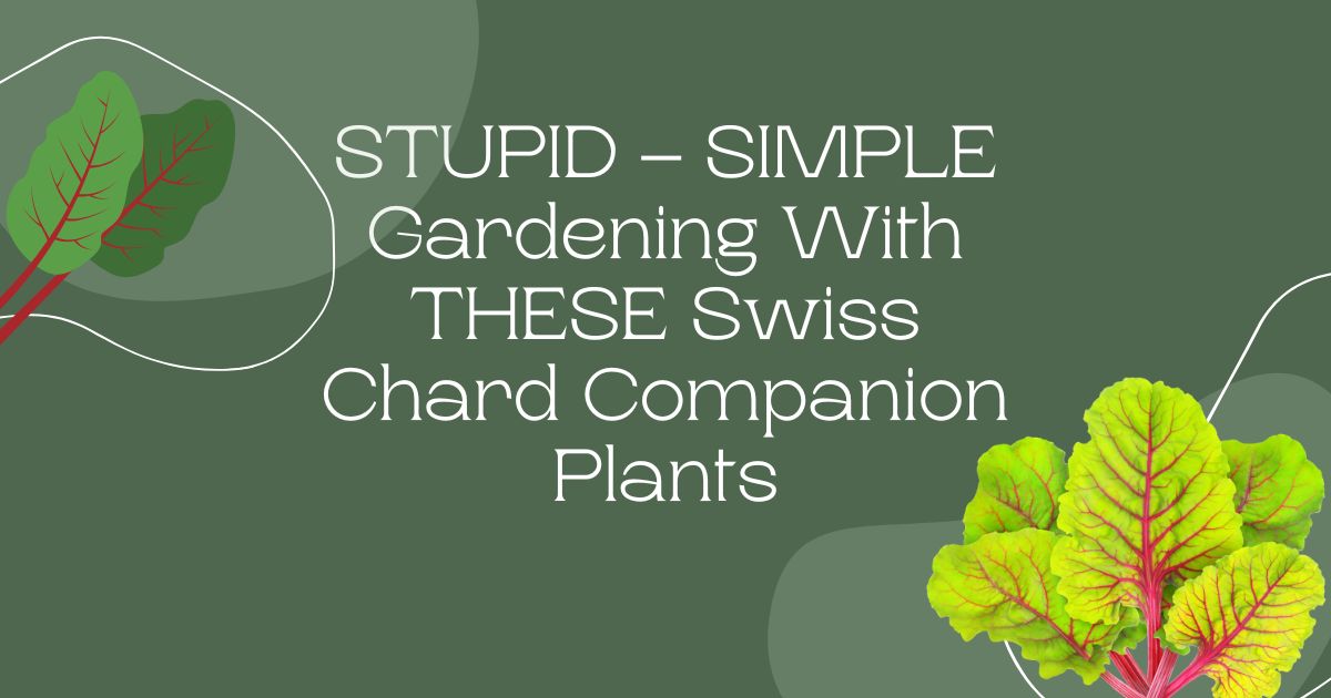 swiss chard companion plants
